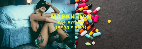 стаф Покачи
