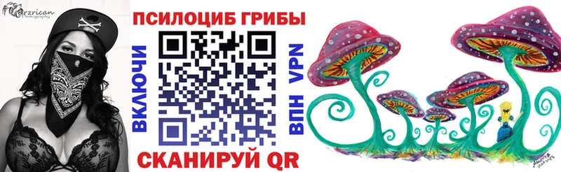 Псилоцибиновые грибы Psilocybe  Заозёрск 
