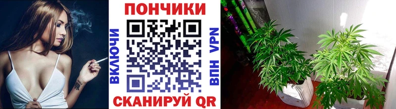 купить  цена  Заозёрск  МАРИХУАНА планчик 